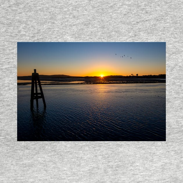 Sunset Bodega Bay Low Tide by photogarry